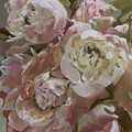 Pink Bouquet