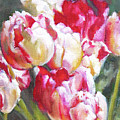 Tulips from the Market